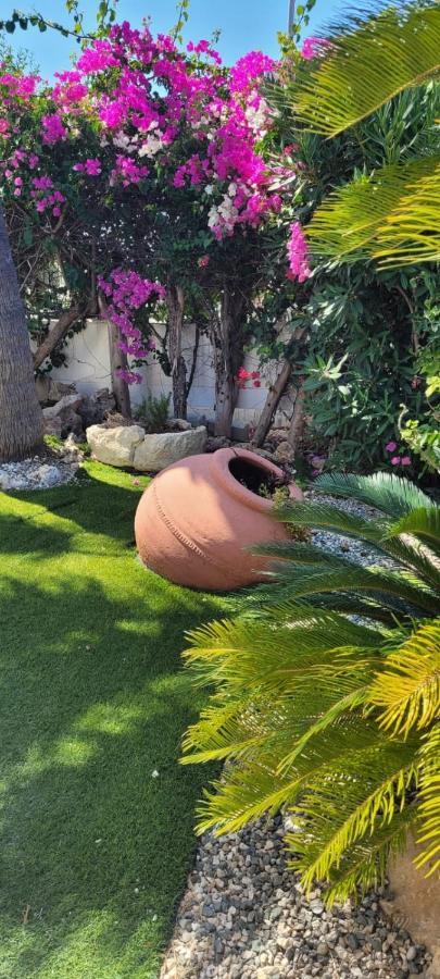 Villa Neyla Four Bedroom Coral Bay Beach Front エクステリア 写真