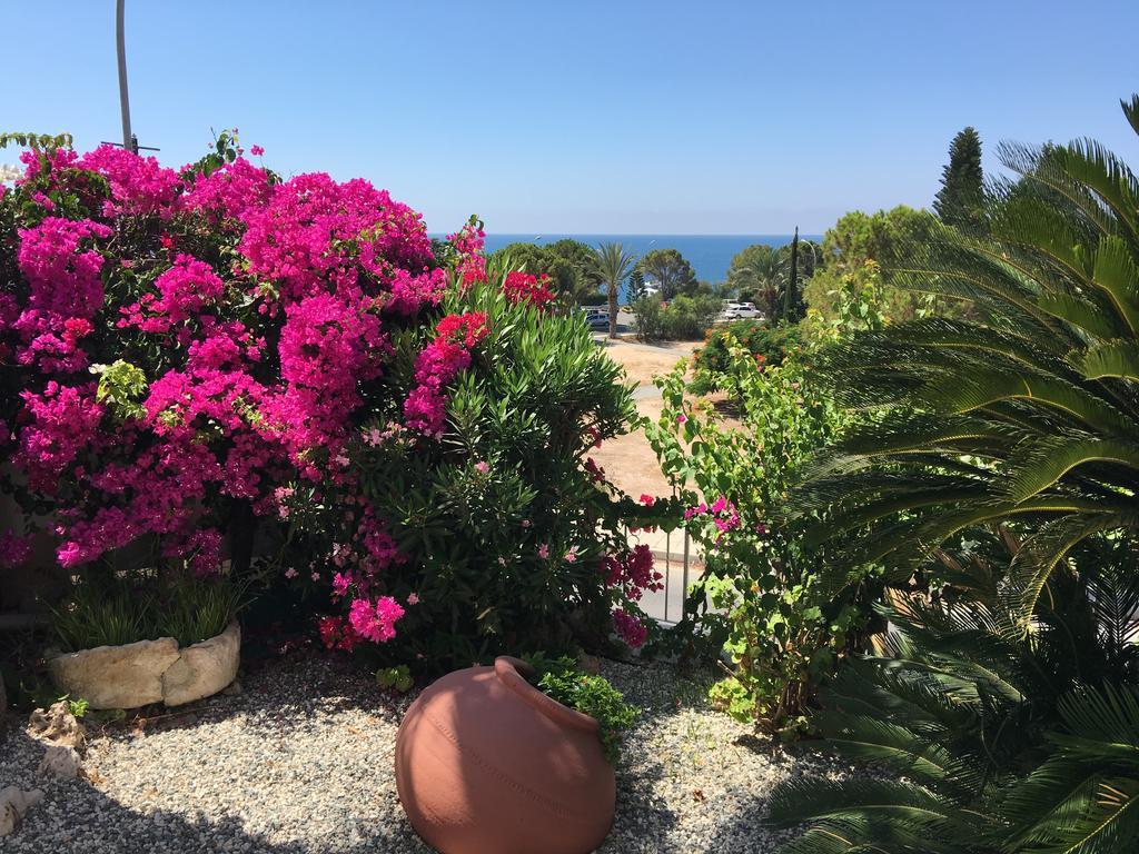 Villa Neyla Four Bedroom Coral Bay Beach Front エクステリア 写真